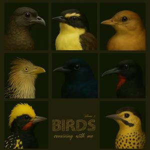 João-de-barro (Furnarius rufus)