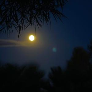 中秋残月(Prod by Baize)