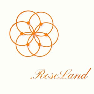 浅橘色孤岛（翻自 宋昕冉、徐紫茵、许馨文、戴燕妮、段艺璇、张钰、左卓）