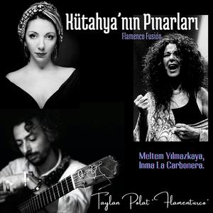 Kütahya'nın Pınarları (feat. Meltem Yılmazkaya, Inma La Carbonera & Erhan Ertetik)