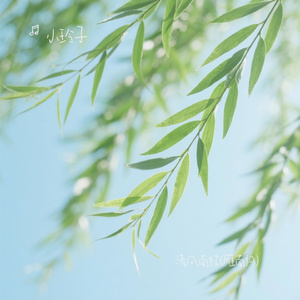 清风南枝(雁南归）