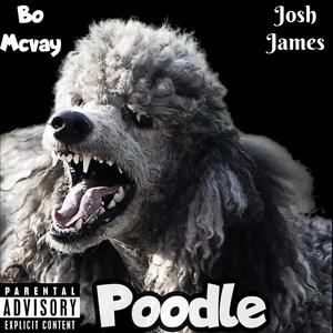 Poodle (feat. Josh-James)