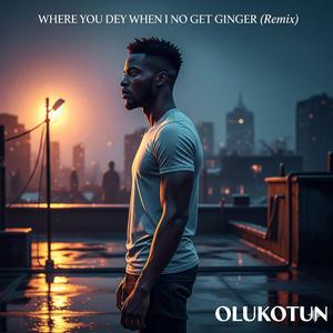 “Where You Dey When I No Get Ginger (Remix)”