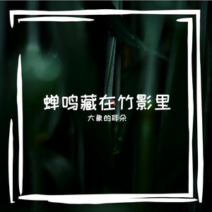 布雷尔大街的信