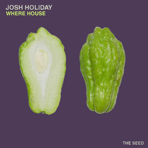 Acid Make U Groove Good (Original Mix)