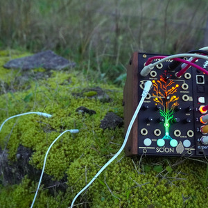 Moss (Plant Music - 432Hz)