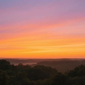 夜色静好画图中