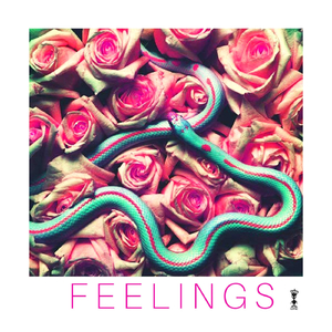 Feelings