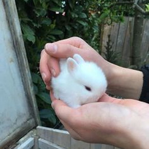 There's Nothing Holdin' Me Back (sped up)