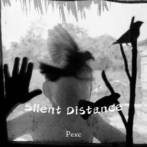 Silent Distance