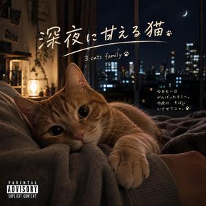 深夜に甘える猫
