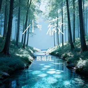 小薇 (Cover 白兰的)