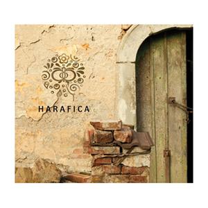 Jedú chlapci, jedú