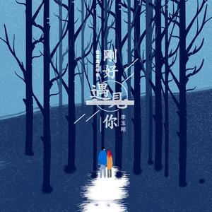 李玉刚 - 刚好遇见你（小博 SE7EN Bootleg）