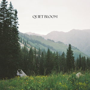 Quiet Bloom