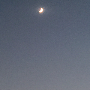 有了你，我的黑夜才敢奢求星辰