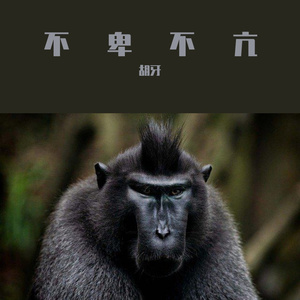 不卑不亢