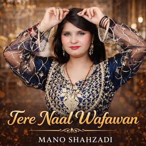 Tere Naal Wafawan