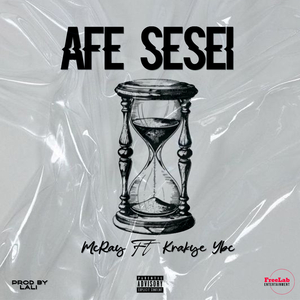 AFE SESEI