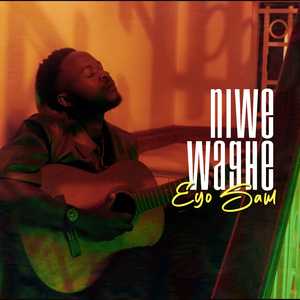 Niwe Waghe