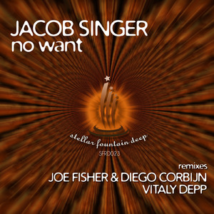 No Want (Vitaly Depp Remix)