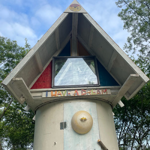 セイタカアワダチソウ～世界が終わる前に～