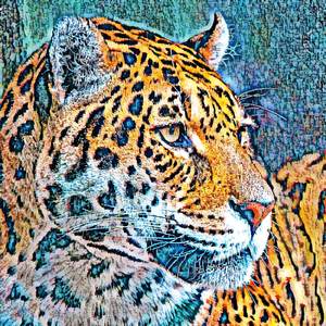 Legislature Edward Winslow