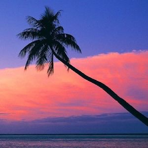 你是我的一首诗