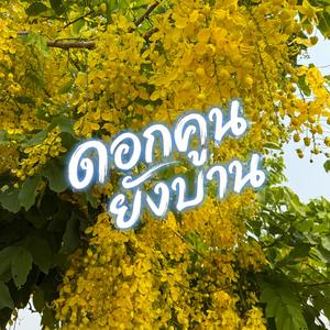 ดอกคูนยังบาน