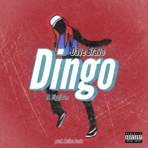 Dingo