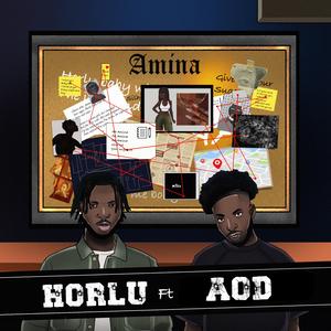 Amina (feat. AOD)