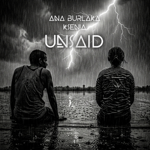 Unsaid