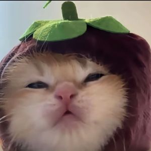 修改音质-星轨絮语 4