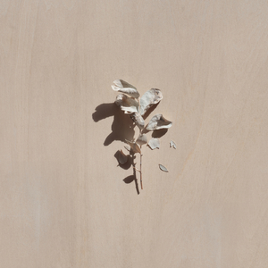 あなたの中で死んだようです