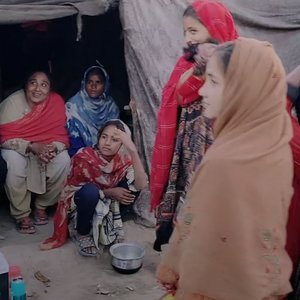 巴基斯坦歌曲（翻自 不对劲）