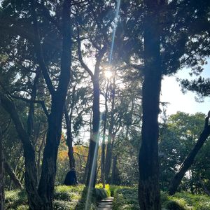 永不失联的爱 （cover 周兴哲）