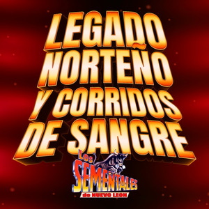 Tu Nuevo Carinito