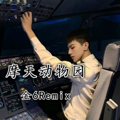 红人炸街 (DJ版)