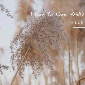 I Found You (Cover KOKIA)