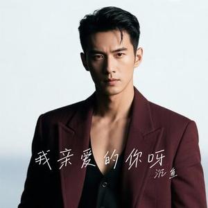我亲爱的你呀 (Cover 小阿枫)