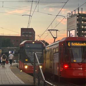 Sommer Ohne Sorgen