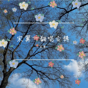 走马-陈粒(cover by 宋翼）
