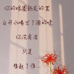 我爱你入骨,你骗我成瘾