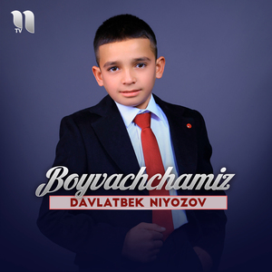 Boyvachchamiz