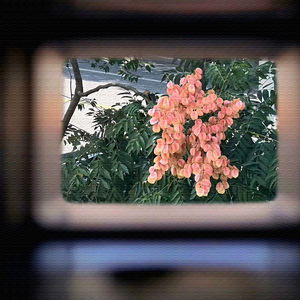 原来是你|原创钢琴曲|说或不说 (助眠催眠spa|纯音乐)