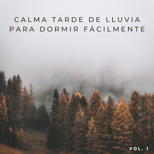 No Soy Ajeno A La Lluvia