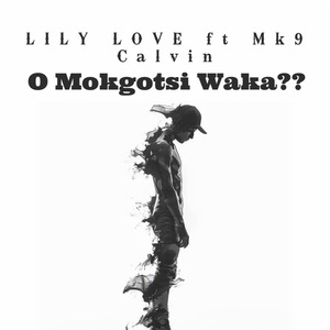 O Mokgotsi Waka?? (feat. Mk9 Calvin)