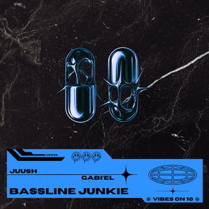 Bassline Junkie