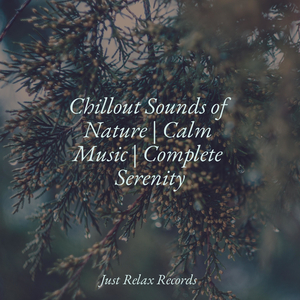 Paperbound Daydreams