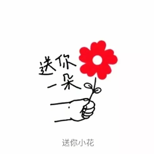 送你一朵小红花